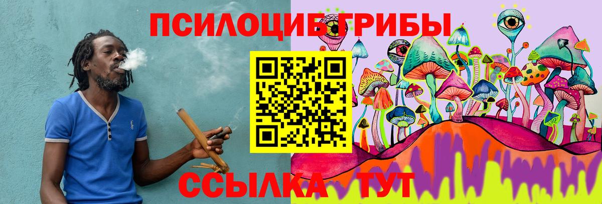 Псилоцибиновые грибы MAGIC MUSHROOMS  Вход с VPN  Псилоцибиновые грибы MAGIC MUSHROOMS  Владикавказ 