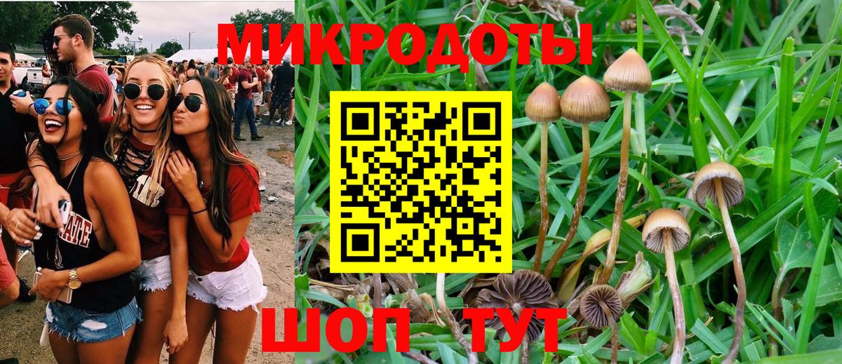 Галлюциногенные грибы мухоморы Владикавказ